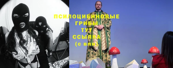 прущий лед Алексеевка