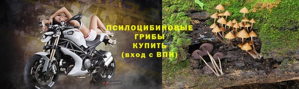 эйфоретик Алексин