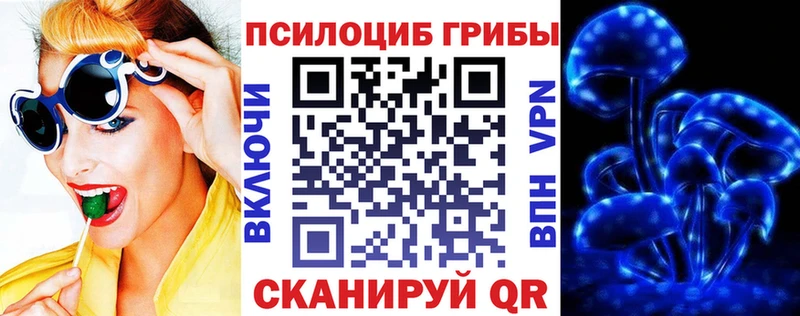 Псилоцибиновые грибы Psilocybine cubensis blacksprut ТОР Полтавская